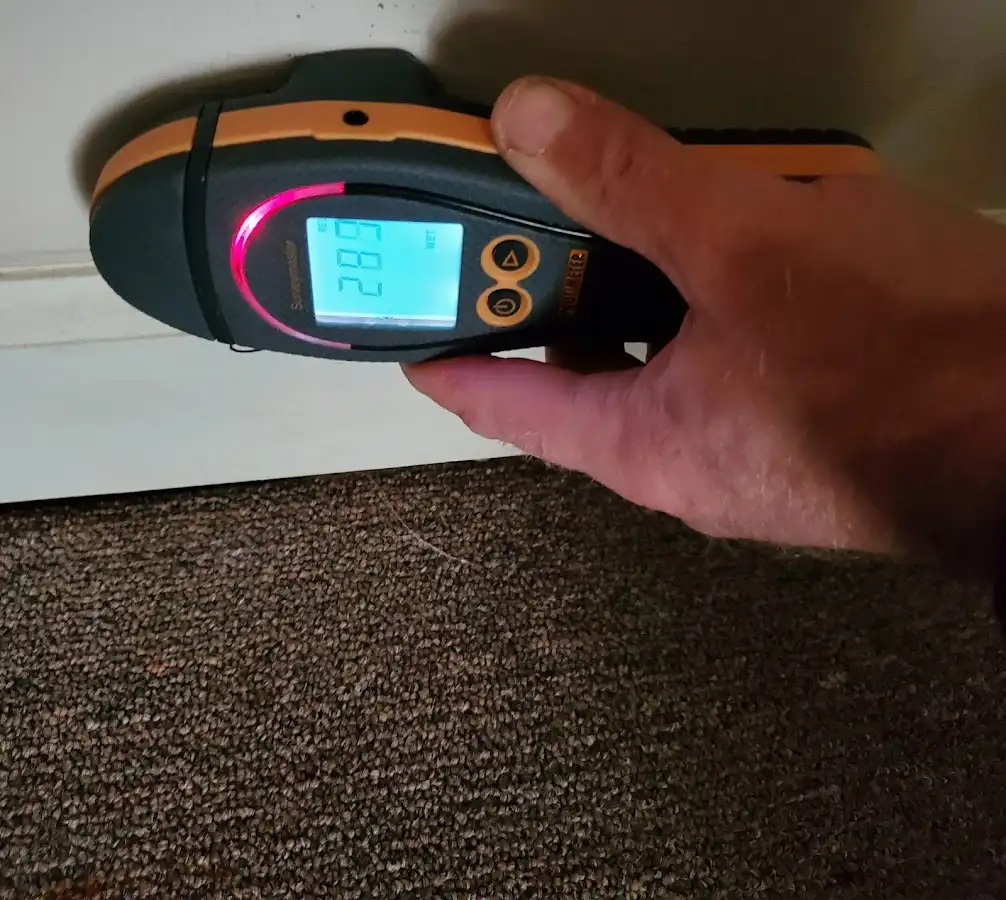 Moisture detection at baseboard during Mold Inspection & Testing in Paris